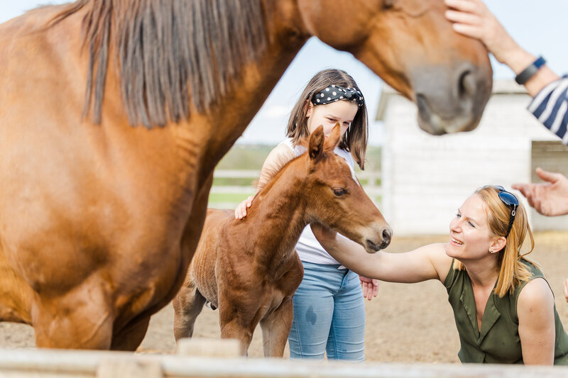 Horse and girl