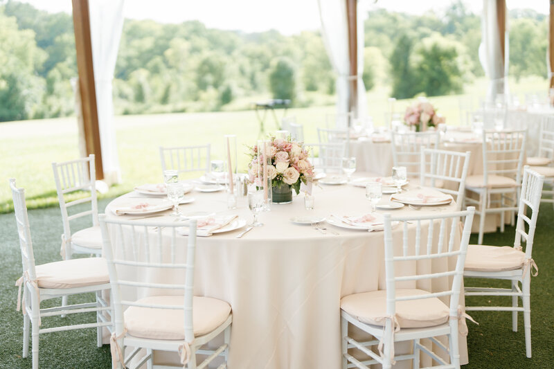 hollynoelphoto-bunnell-450