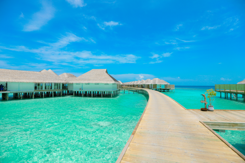 Creates Travel Vacation 2