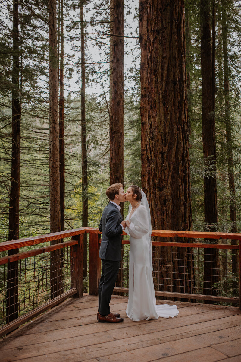 Bride and groom kissing in a redwood grove