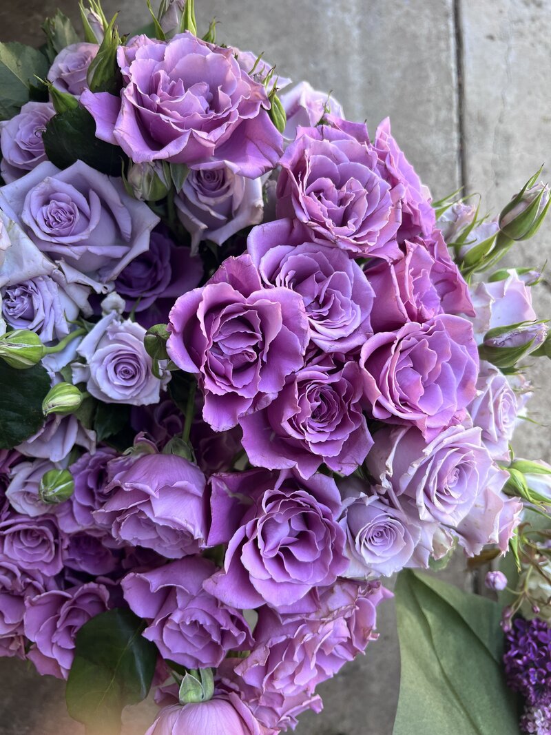 Bulk fresh cut lavender roses, representing flowers featured in Mother's day bouquets by Wild Child Flower Co. 