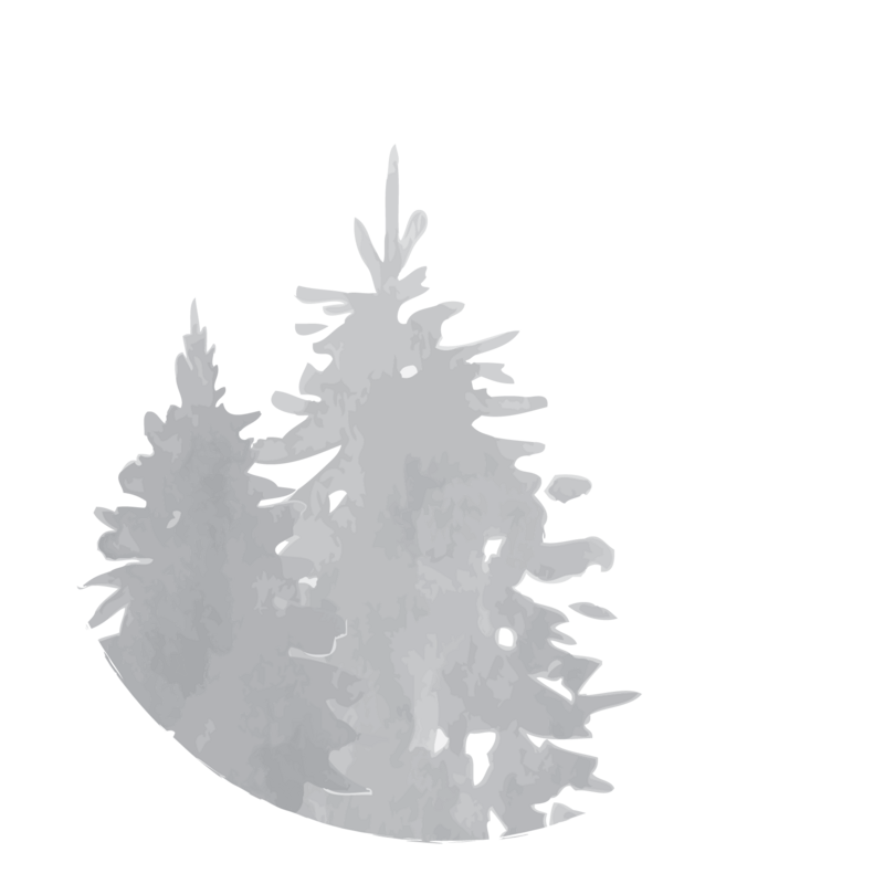 Bitz of Life logo