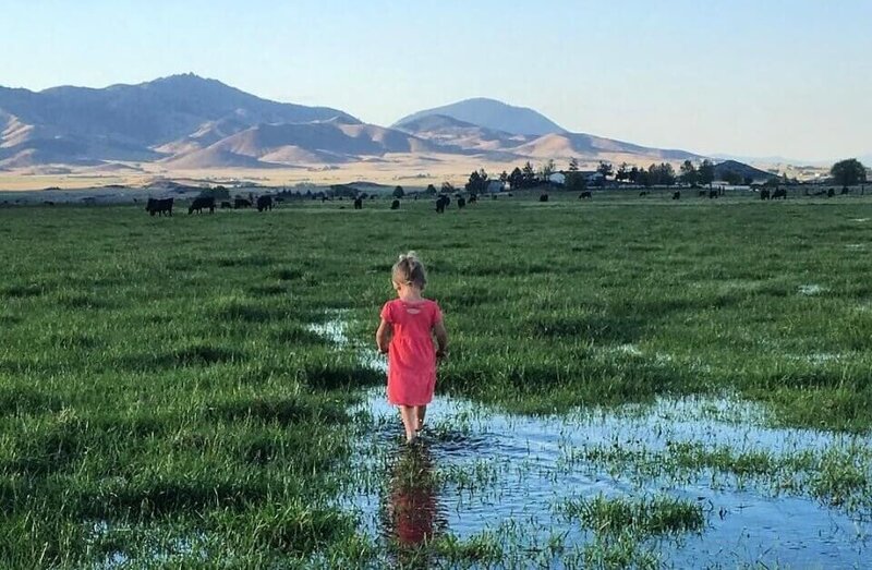 Little girl in pink dress standing in water on Shasta Valley farm