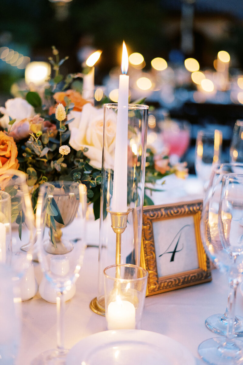 NathanaelTenneyPhotography-Nicole&Alex-541