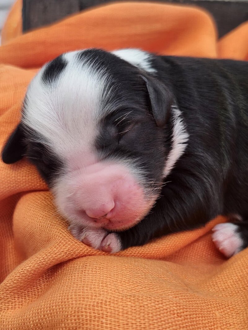 7f2dfe58-6bef-4cd6-b982-b6be0a74915c