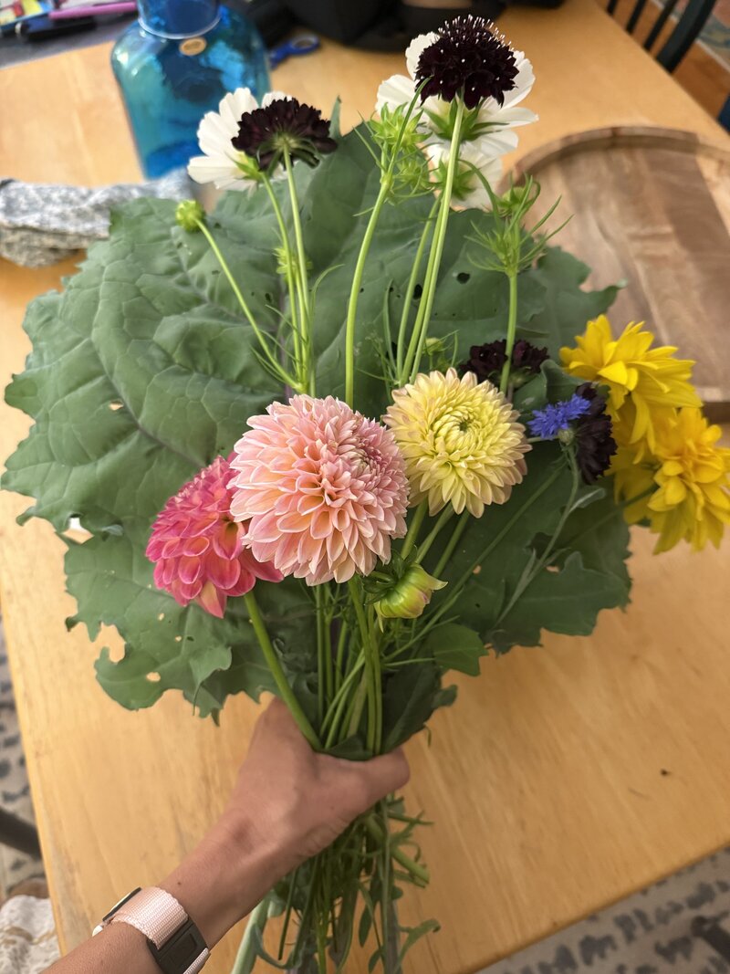 rebecca bloomfield about9