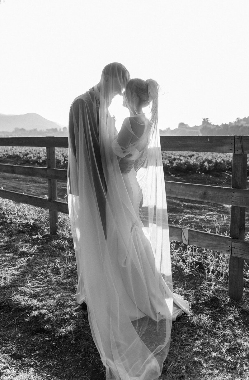 Hayley & Ed-48