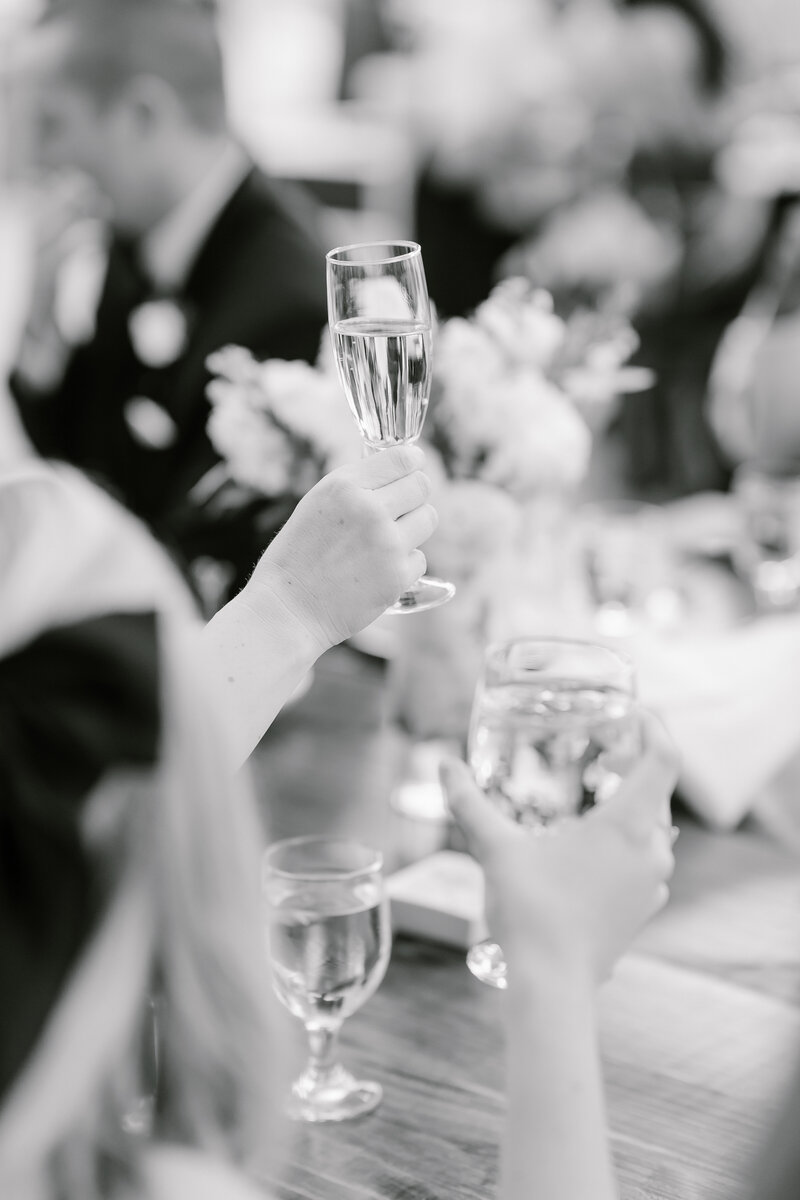 Rebecca Shehorn Photography Jennifer and Nathan Conservatory at Evergreen Wedding-884