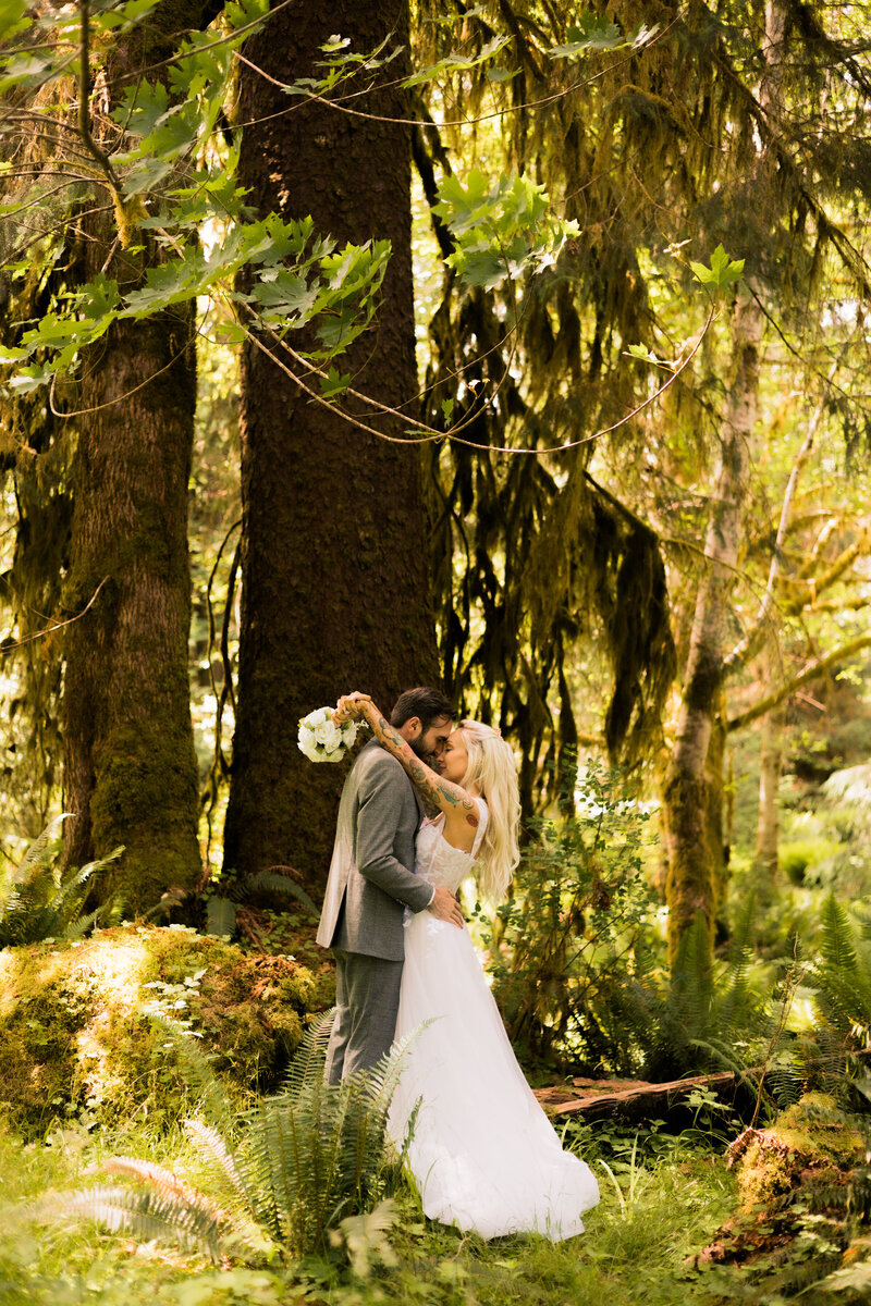eloping in the rainforest