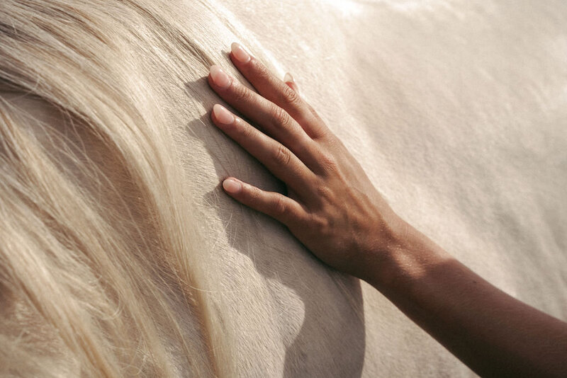 hand-on-white-horse-coat