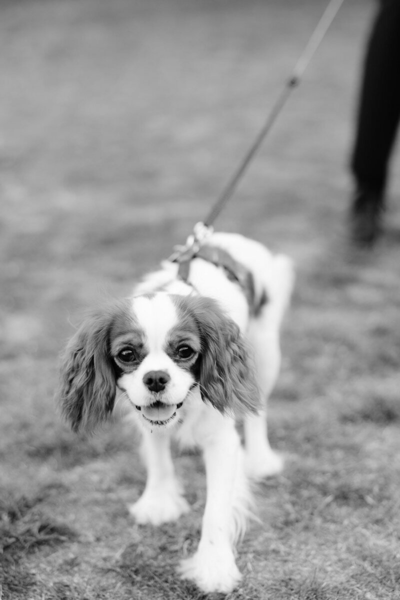 chateau-la-gallee-photographe-mariage-victoria-le-petit-068