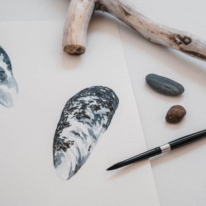 Detail photo of a blue mussel shell watercolor painting with paintbrush and rocks