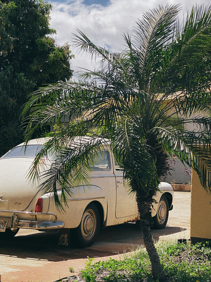 7e3f2b64-285c-43c3-9605-022645d07487