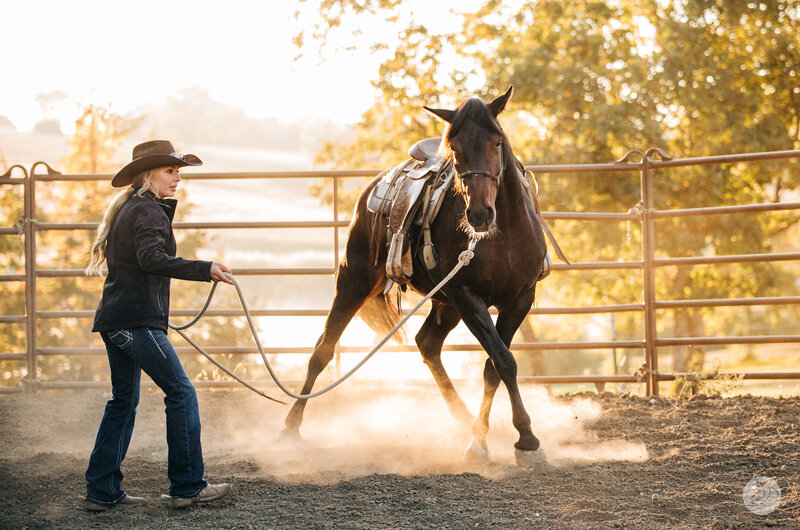 Horse Photography (14)