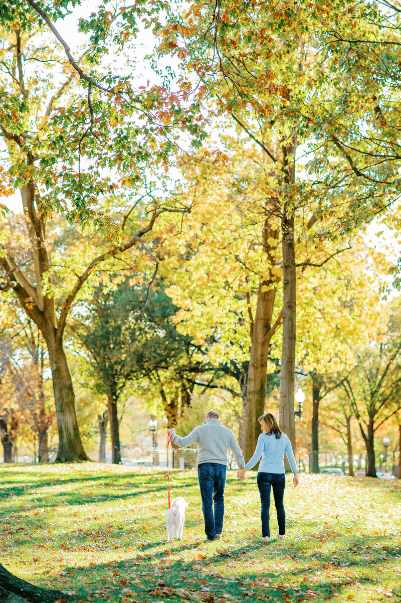 Engagements 2015 photo-4