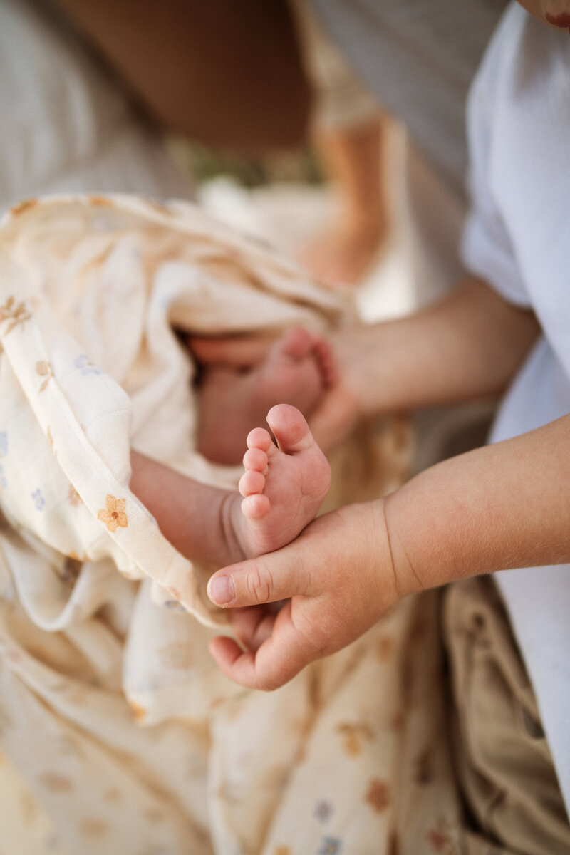 Imrie_Newborn_2024-1076