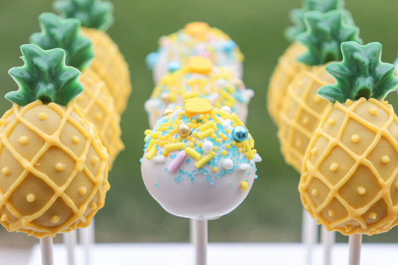 bakery - cakes - cake pops -north dakota -282