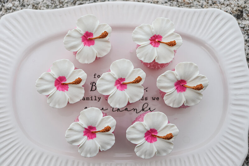 bakery - cakes - cake pops -north dakota -299