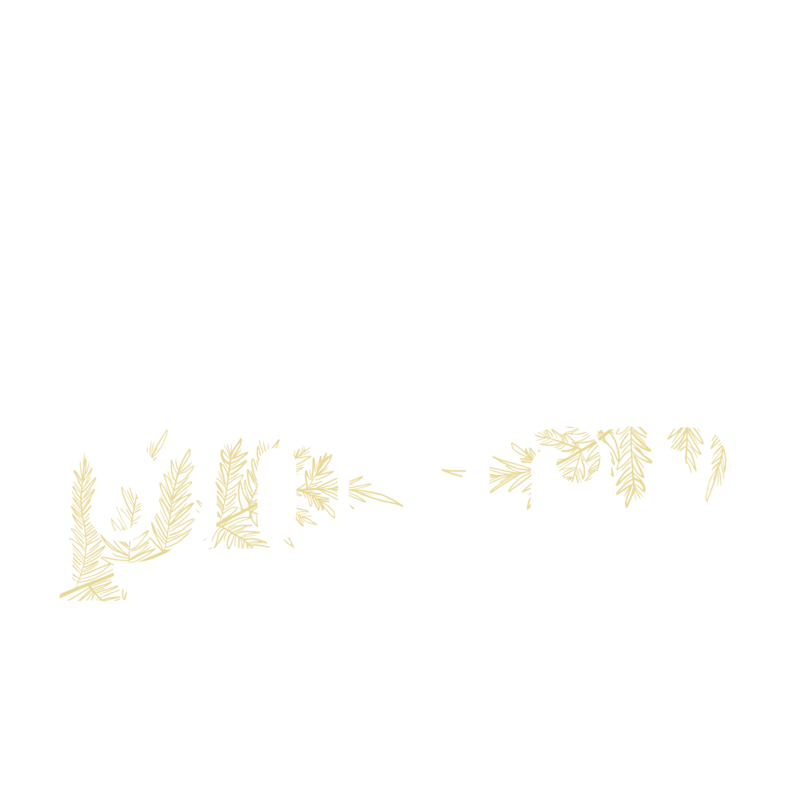 The Wild Phern Photography