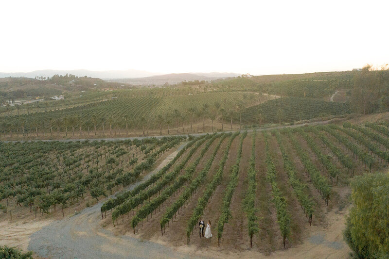 falkner winery wedding 170