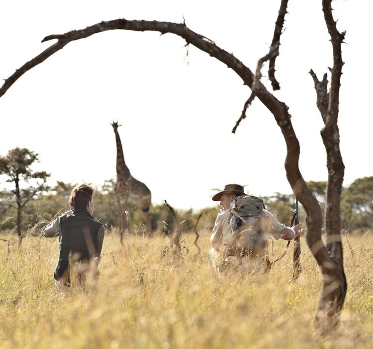 Naboisho-walking-watching-giraffe