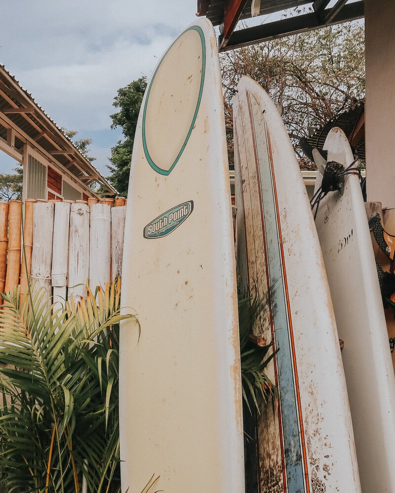 surfboards in the jungle