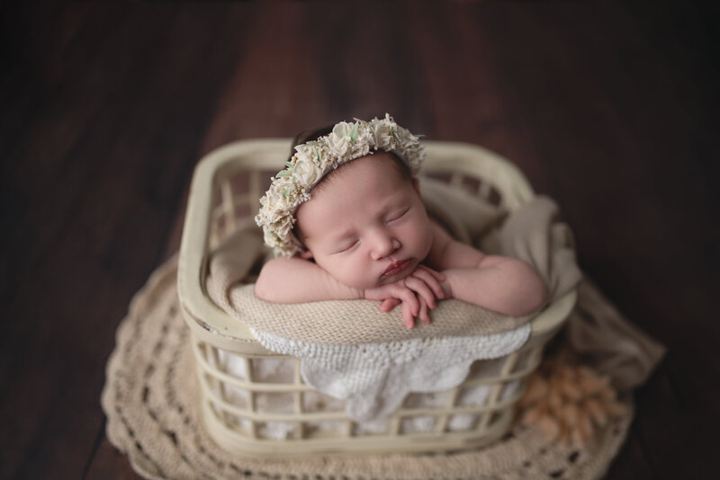rustic-newborn-basket-photo-girl-flower-crown-paris