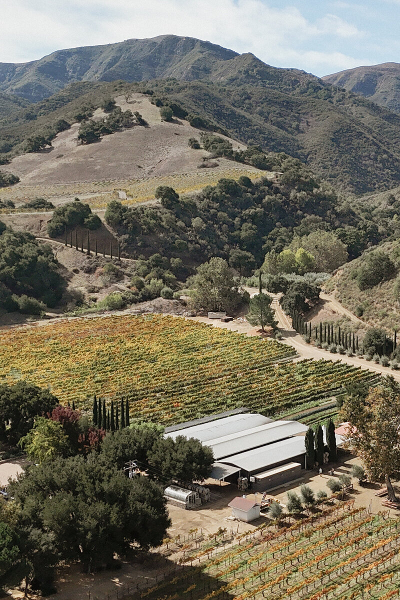 Malaya Images - 102525 Caterina and Marc - Sneak Peeks (1 of 104)_websize