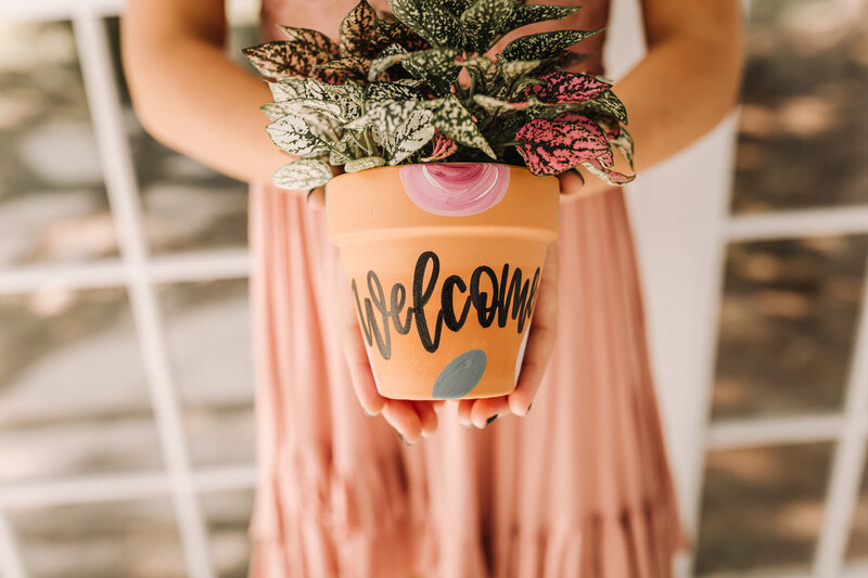 Potted Succulent Favor by Succulent Bar events and gifts