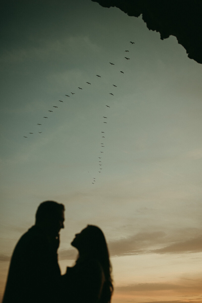 Silhouette of San Francisco couple with V shape bird formation above