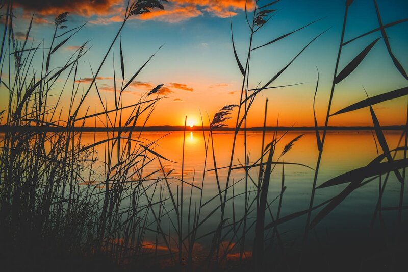 View of a lake through the grass with the sun setting in the background.