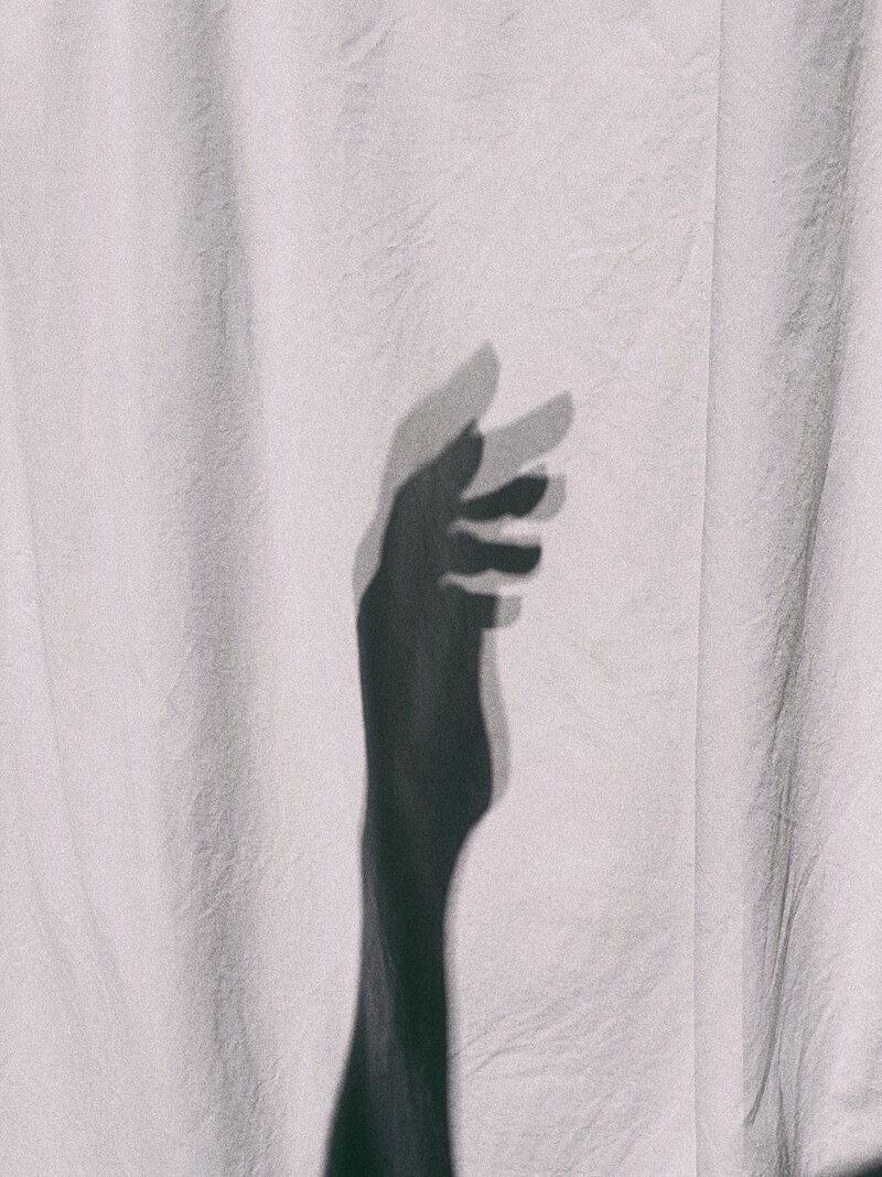 pexels-camila-rocha-14996478