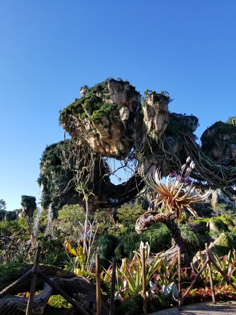 Pandora