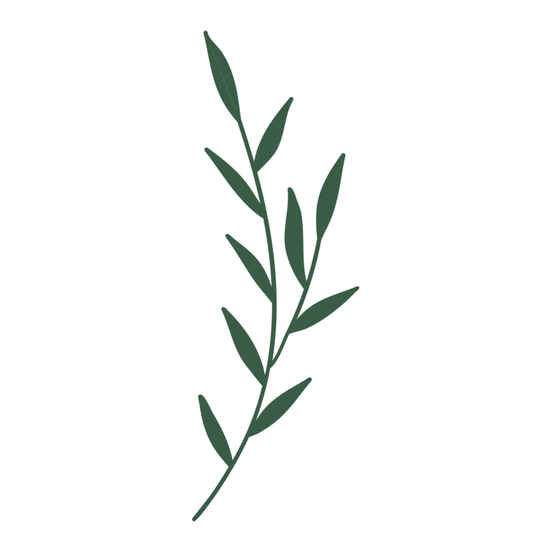 Green leaf branch