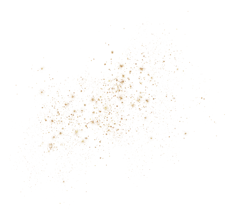 e (19)