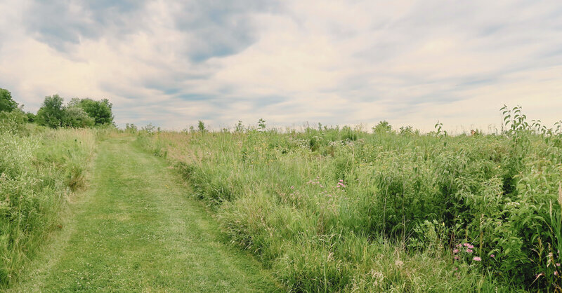 Hawk Hollow grass trail - retro