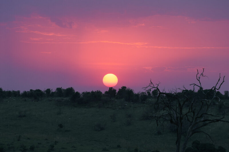 safariedited-533
