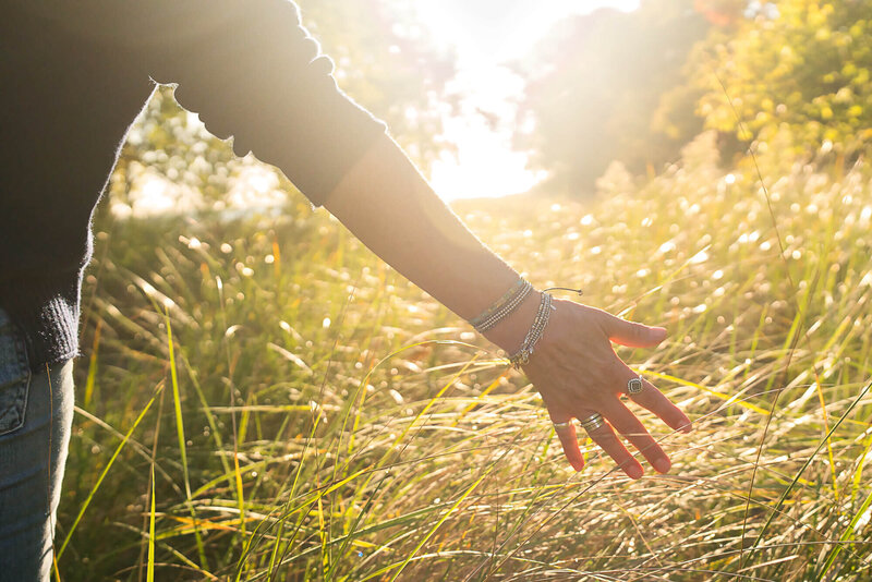 絵（でかすぎる）|  Diane Romanello Diana Kilgore Condon draws inspiration from her garden and the