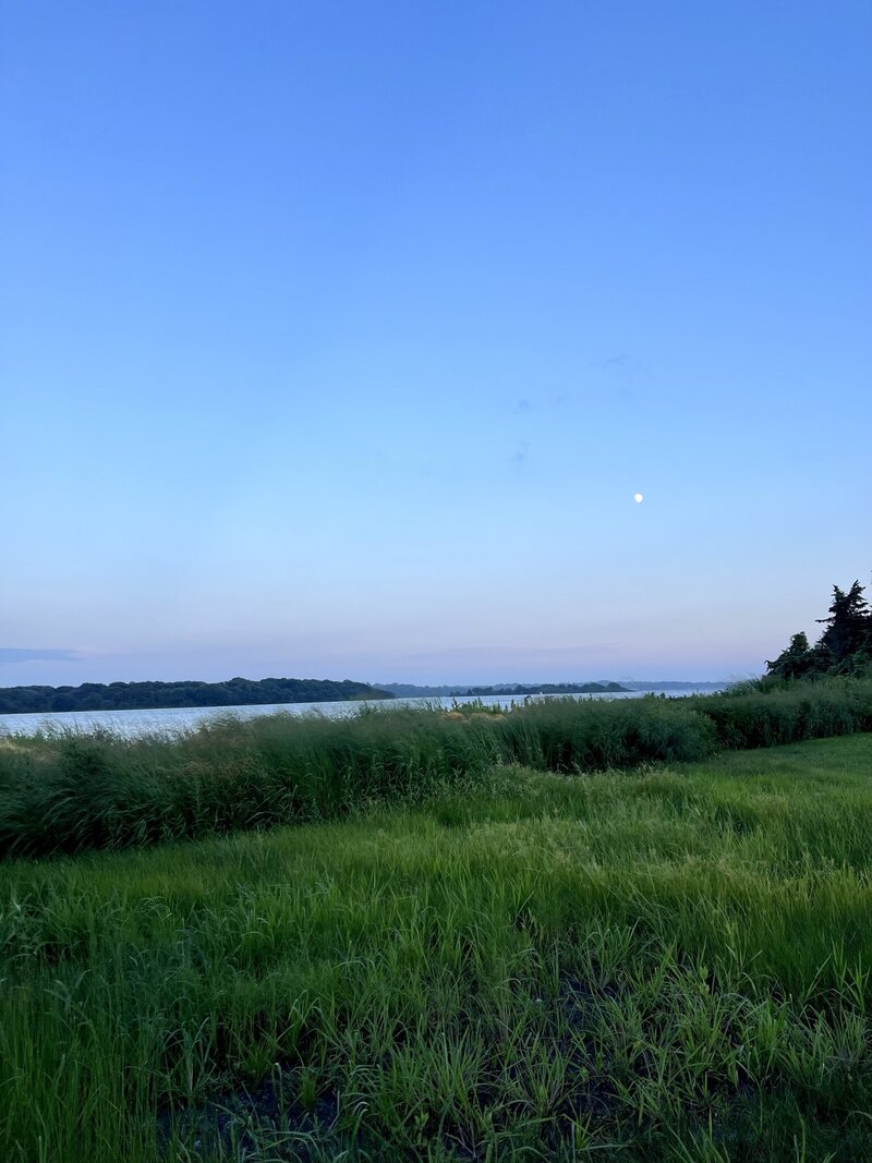 scenery