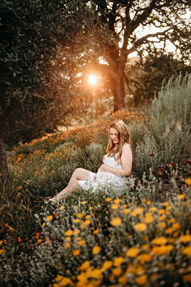 Pregnant mom smiles at her toddler. They are in a Walnut Creek flower field.