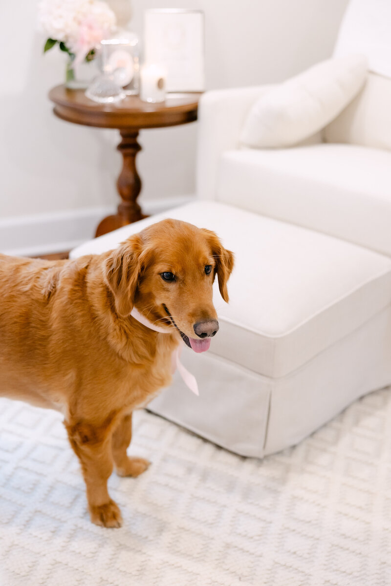 kelsee-risler-photography-new-york-newborn-photographer-in-home-buffalo-sophia-plaister-newborn-116