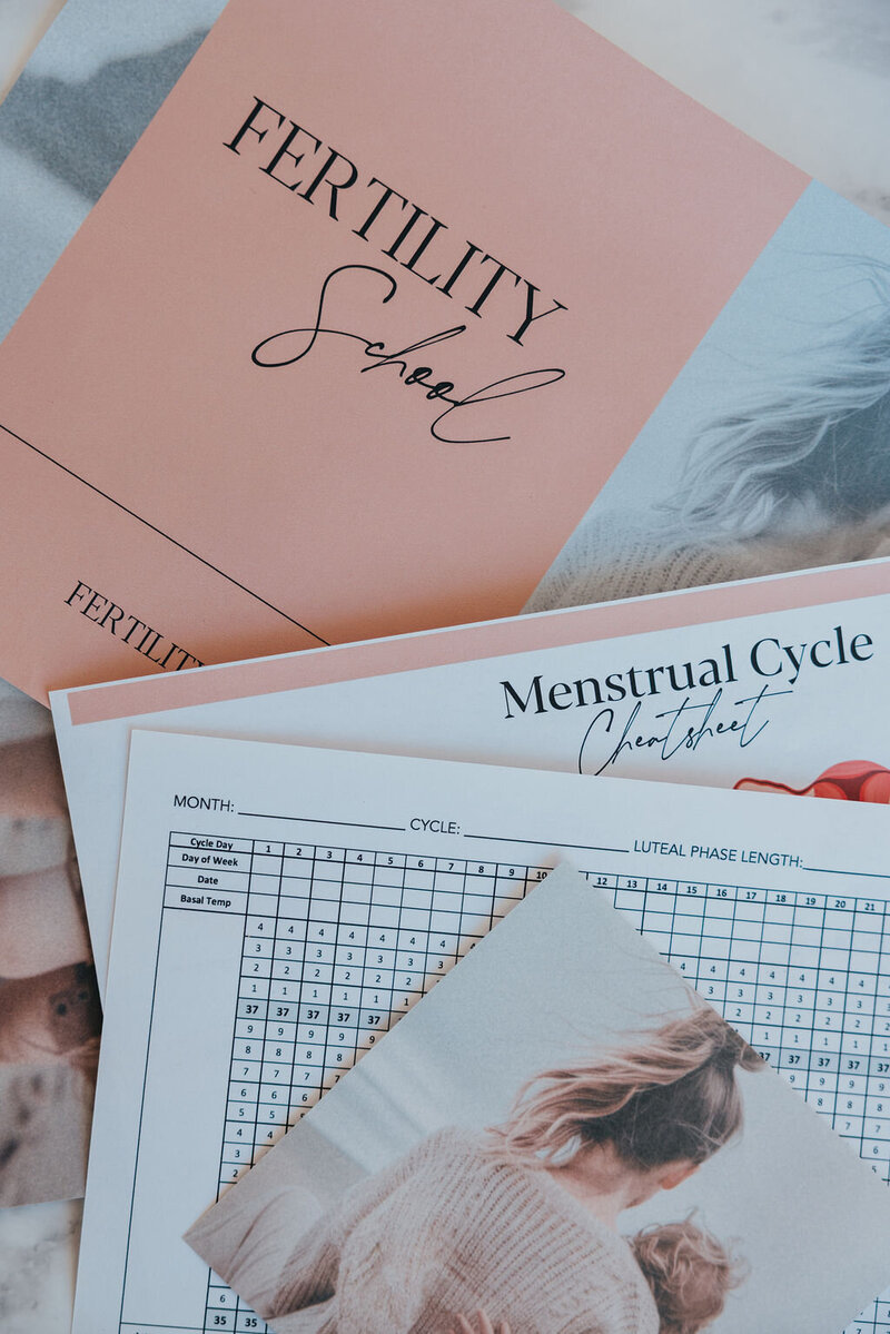 Fertility School - Fertility Course - Cycle Charting, Conceive Naturally | Fertility co.