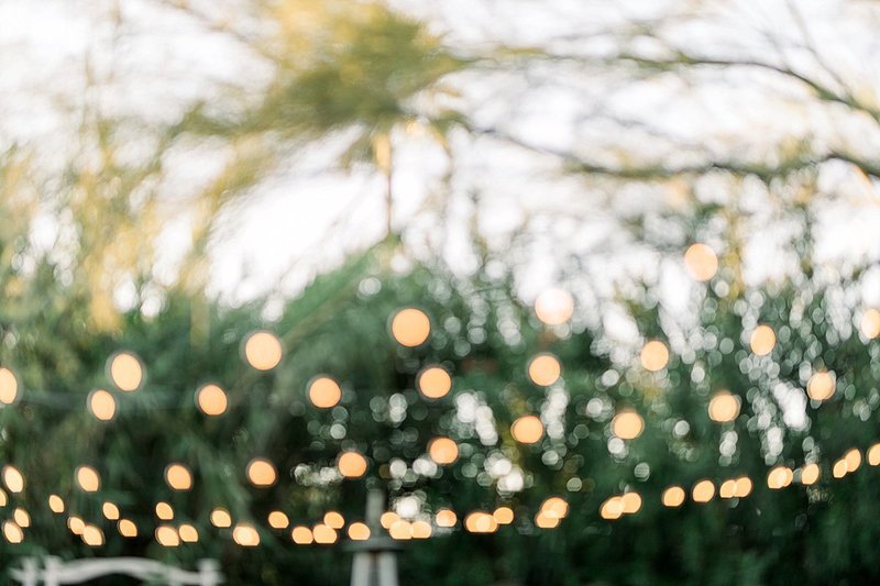 GefterSimonWedding_606