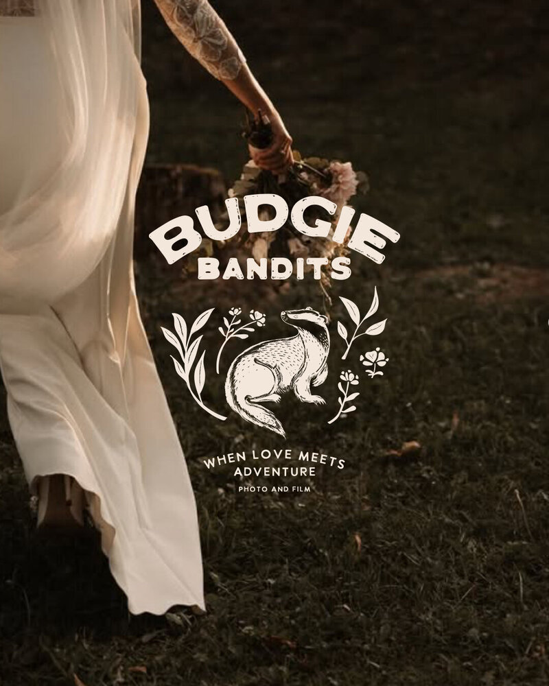 BUDGIE BANDITS