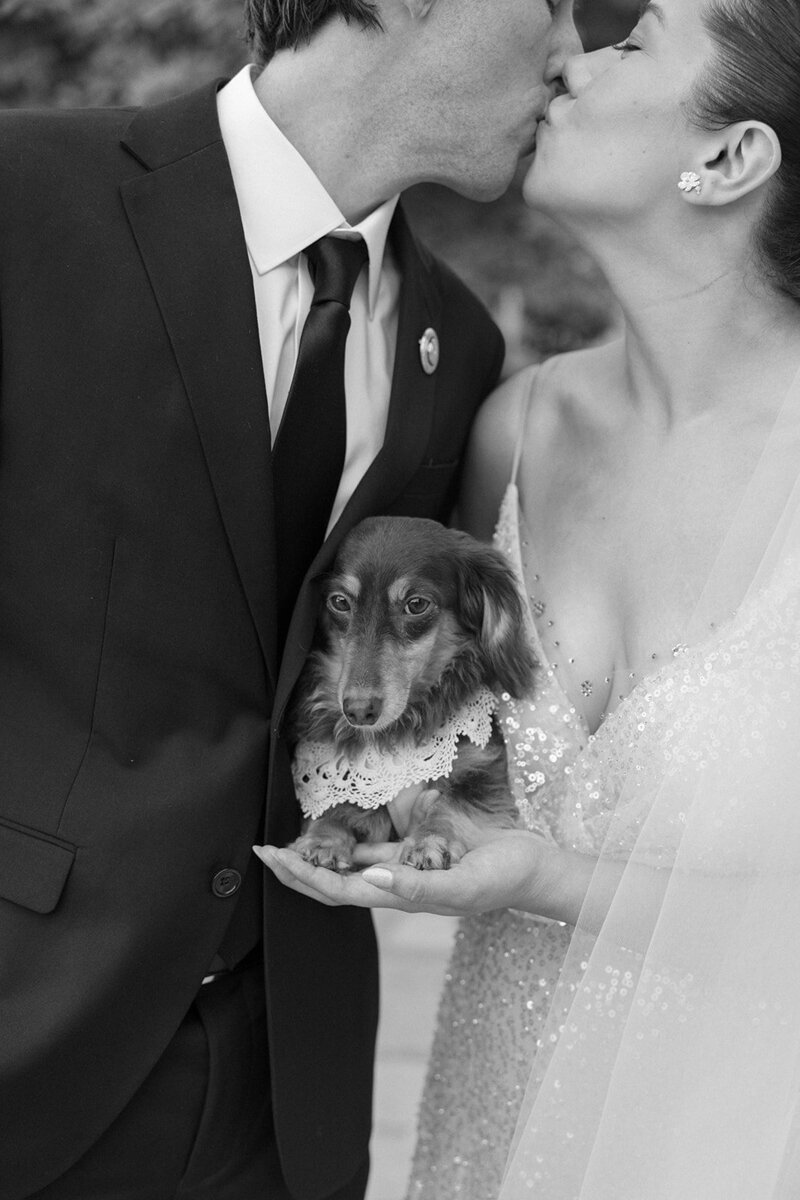 Malaya Images - 081025 Analissa and James - Sneak Peek (33 of 51)_websize