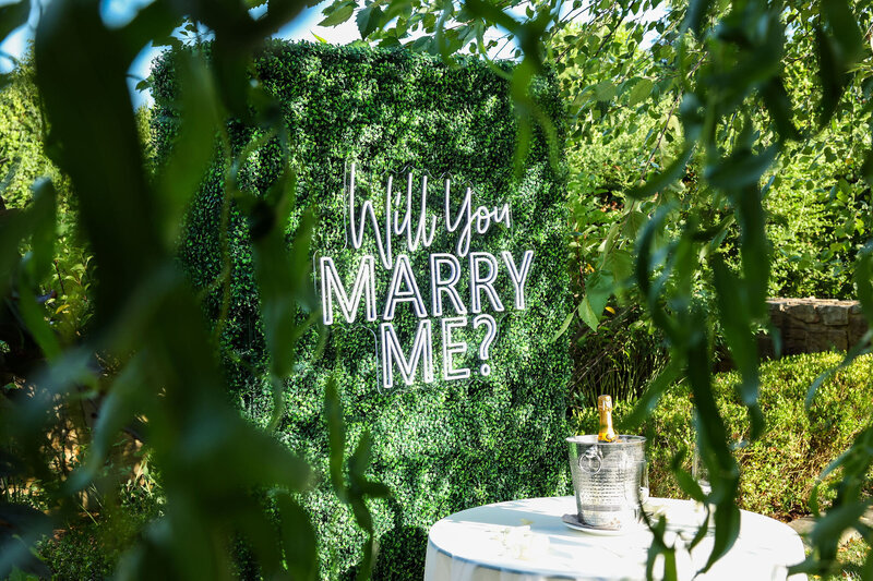 Buchi-&-Tynelle-Salamander-Resort-Surprise-Proposal(photobywww.jonflemingphotography.com)-6