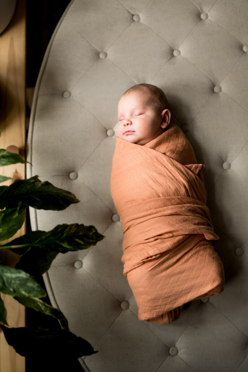 downtown edmonton newborn photos-19