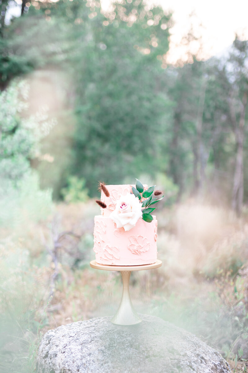 wedding cake photography