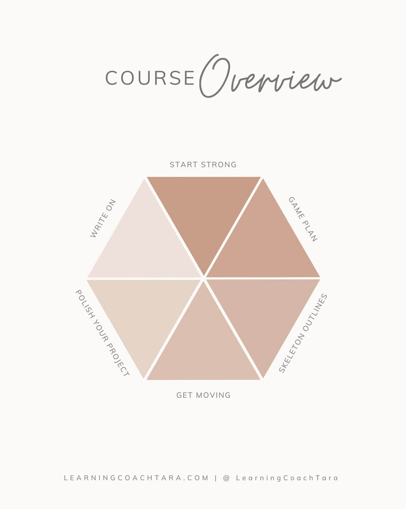Modern Student Roadmap preview displayed on laptop screen
