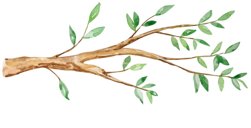 Tree branches at the Nest, a natural learning center in Surf City, NC